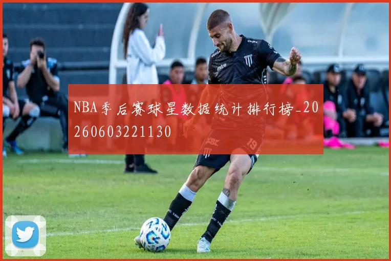 NBA季后赛球星数据统计排行榜_20260603221130
