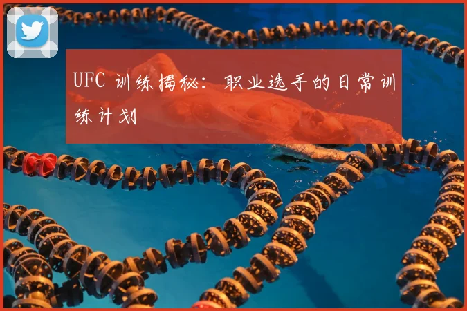 UFC 训练揭秘：职业选手的日常训练计划