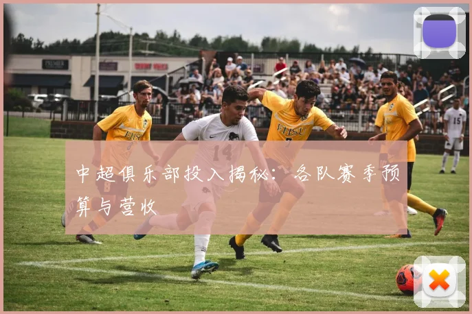 中超俱乐部投入揭秘:各队赛季预算与营收