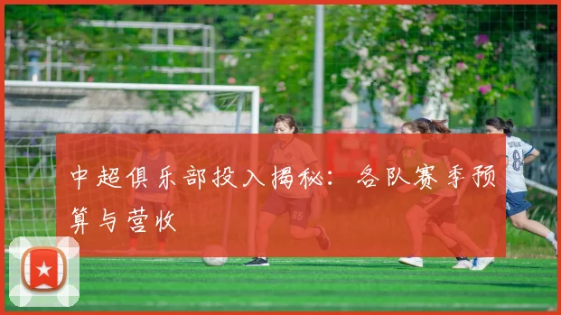 中超俱乐部投入揭秘:各队赛季预算与营收