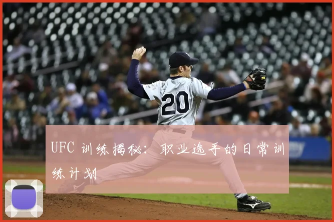 UFC 训练揭秘:职业选手的日常训练计划