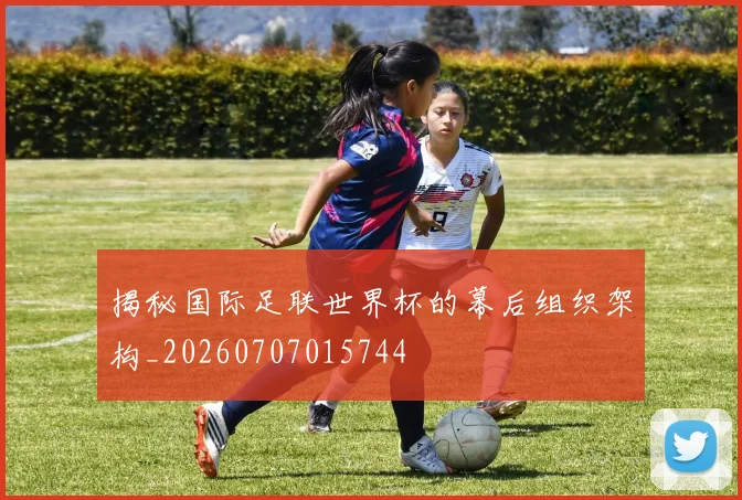 揭秘国际足联世界杯的幕后组织架构_20260707015744