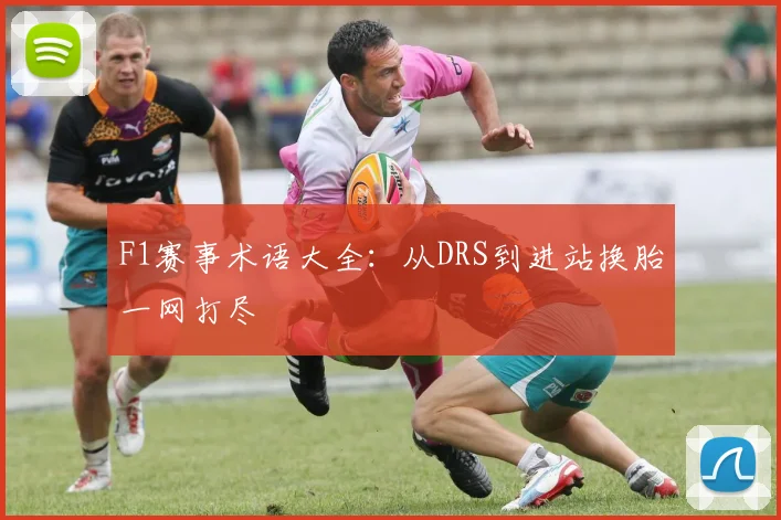 F1赛事术语大全:从DRS到进站换胎一网打尽