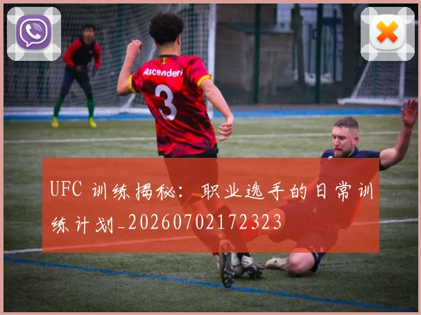 UFC 训练揭秘：职业选手的日常训练计划_20260702172323